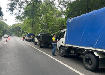 Infraccionan a 65 transportistas de carga en Santa Ana