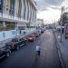 Centro Histórico capitalino comienza a ver nuevas calles