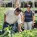 Ministro de Agricultura y Ganadería escuchó a mujeres viveristas en Atiquizaya, Ahuachapán