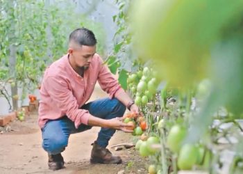 Agricultores agradecen el apoyo al Ministerio de Agricultura