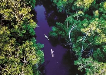 Conoce y disfruta la «bahía de las estrellas»,en Jiquilisco