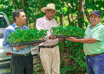 Gobierno de El Salvador facilita asistencia técnica para mejorar producción agrícola