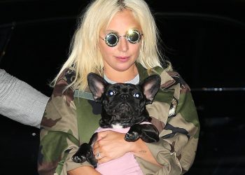 Condenan a cuatro años de cárcel a secuestrador de los perros de Lady Gaga en Estados Unidos