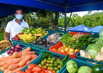 Agromercados de El Salvador dejan $696,000 a productores en seis meses