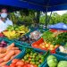 Agromercados de El Salvador dejan $696,000 a productores en seis meses