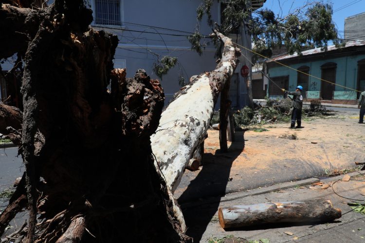 Atención inmediata
El alcalde Mario
Durán ha instruido a
sus equipos actuar
de forma rápida
ante el impacto por
lluvias en la capital.