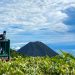 Conocé tu lado cafetero y viví una experiencia entre montañas en el Cerro Verde este fin de semana