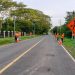 FOVIAL realiza laborales de mantenimiento y limpieza en carreteras en San Pedro Nonualco
