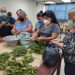 El Centa capacitó a salvadoreñas en productos medicinales