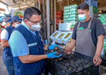 Defensoría del Consumidor detecta baja en precio de frutas y verduras