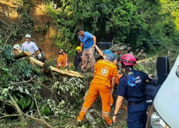 Conductor fallece bajo derrumbe en carretera Los Chorros