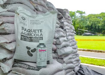 Ministerio de Agricultura entregará 219,084 paquetes de frijol a productores