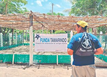 Inicia temporada de conservación de la tortuga marina en La Unión