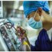 Científicos chinos identifican un nuevo gen detrás de una rara enfermedad de la sangre