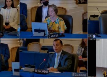 Director general del IICA enfatiza vínculo indisoluble entre agro y sostenibilidad ambiental en la OEA