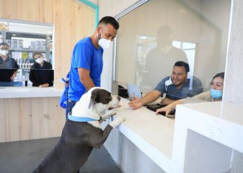 El Hospital Chivo Pets ha brindado 230,000 atenciones