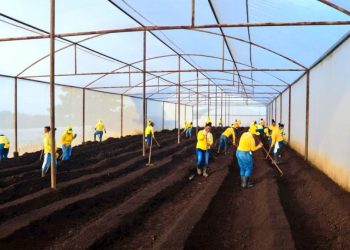 Privadas de libertad trabajan por sus propios alimentos en penal de Izalco