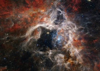 Telescopio Webb captura nuevos detalles de la nebulosa Tarántula