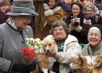 Fotos: La reina Isabel II y su increíble amor por los perritos corgi