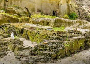 Declararán zona de interés cultural el asentamiento prehispánico encontrado bajo la erupción del volcán de Ilopango