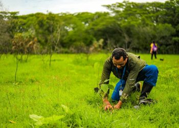 El Ministerio de Medio Ambiente ha realizado 356 eventos de reforestación con el programa Árboles para El Salvador
