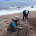Encuentran cadáver de delfín en alto grado de descomposición en playa El Faro