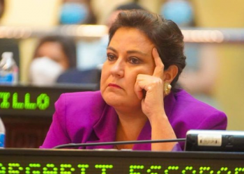 Diputada Margarita Escobar renuncia al partido ARENA