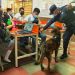 PNC realiza jornada preventiva sobre uso de las drogas para estudiantes del Instituto Emiliani