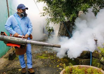 El Salvador se acerca a tres años sin registrar muertes por dengue