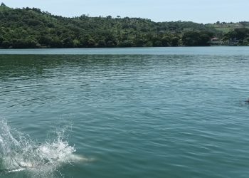 Por primera vez habrá un torneo de surf latinoamericano en la zona oriental 