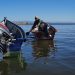 Cendepesca apoyará a pescadores  con la renovación de carné en La Unión
