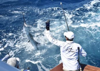 Torneo Internacional de la Pesca del Marlin 2022 se viene en grande