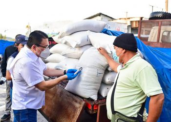 Los precios del maíz y frijol se mantienen estables en El Salvador