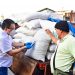 Los precios del maíz y frijol se mantienen estables en El Salvador