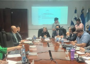 Comisión de Medio Ambiente discute con instituciones del Estado ley que castigará a quien lance basura
