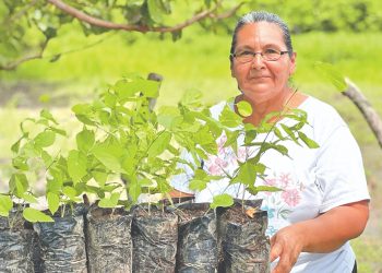 El Ministerio de Agricultura y Ganadería contribuye para mejorar la alimentación de los bovinos en La Paz