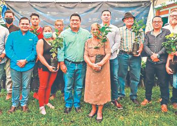 Productores de Juayúa reciben plantas de café