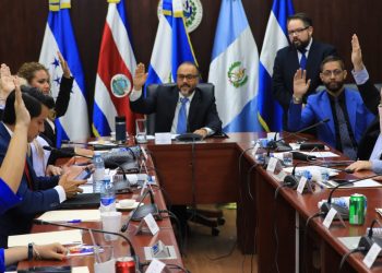 Comisión Política vota dictamen favorable a la elección del nuevo titular de la PDDH