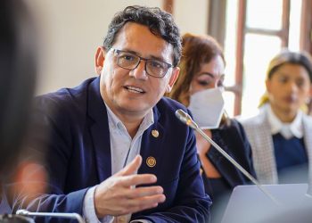 Finaliza la etapa de consultas para el estudio de la ley de lactancia materna