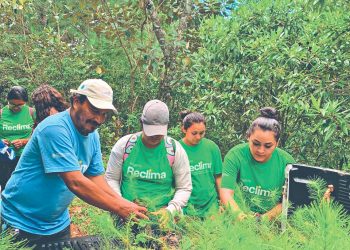 Reforestan el cerro Cacahuatique