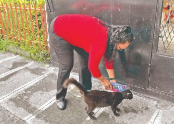Martha, la docente que sueña con una fundación para rescatar animales