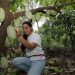 El Centa capacitó a productores de Panamá en el cultivo del cacao