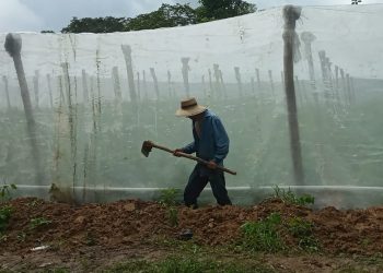Inician en zona norte del país proyectos del Plan Trifinio