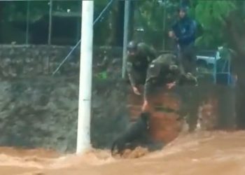 Tres soldados salvan a perrito de ser arrastrado por una corriente en La Unión