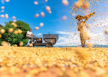 Exportaciones salvadoreñas de café y azúcar reaniman los mercados