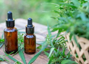 Panamá apunta al negocio del cannabis medicinal