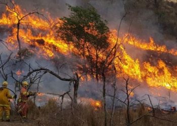 Fuego arrasa 4,000 hectáreas en norte de Argentina