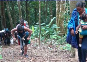 Llegan a 26 migrantes muertos en tránsito por selva darienita panameña en 2022