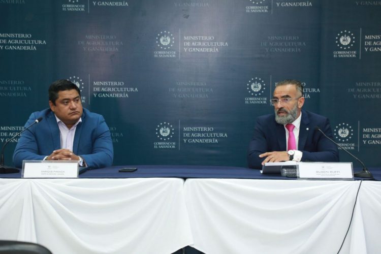 FOTO/ Edison González/ Diario El Salvador.