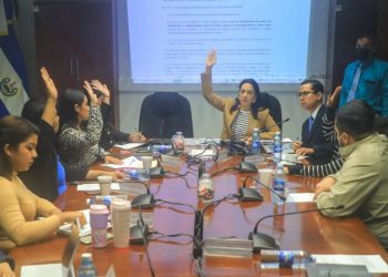 Comisión de Familia analizará aportes técnicos recabados sobre ley de lactancia materna